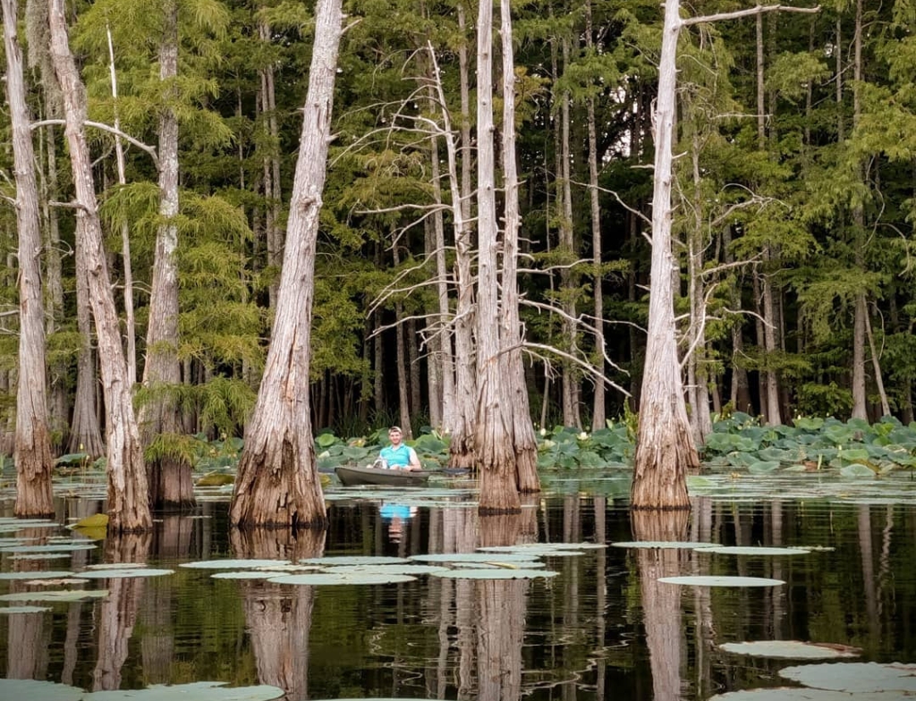 Black Bayou Lake National Wildlife Refuge