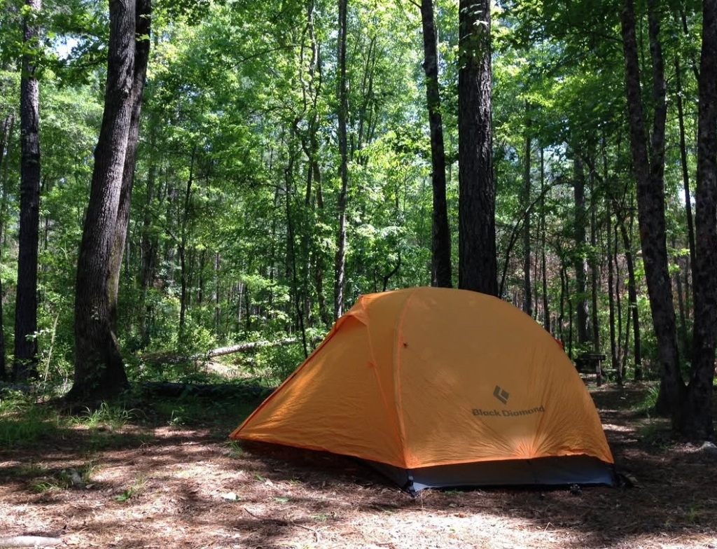 Congareepark camping