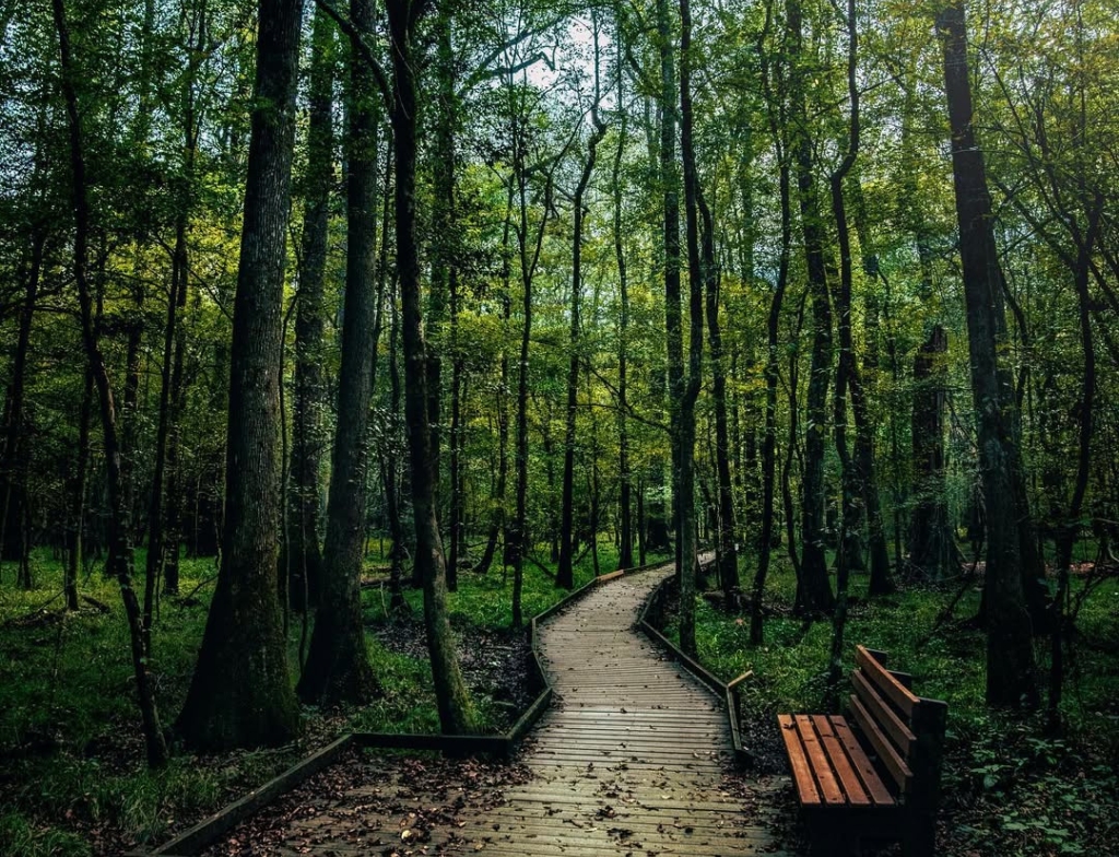 cedar creek falls trail