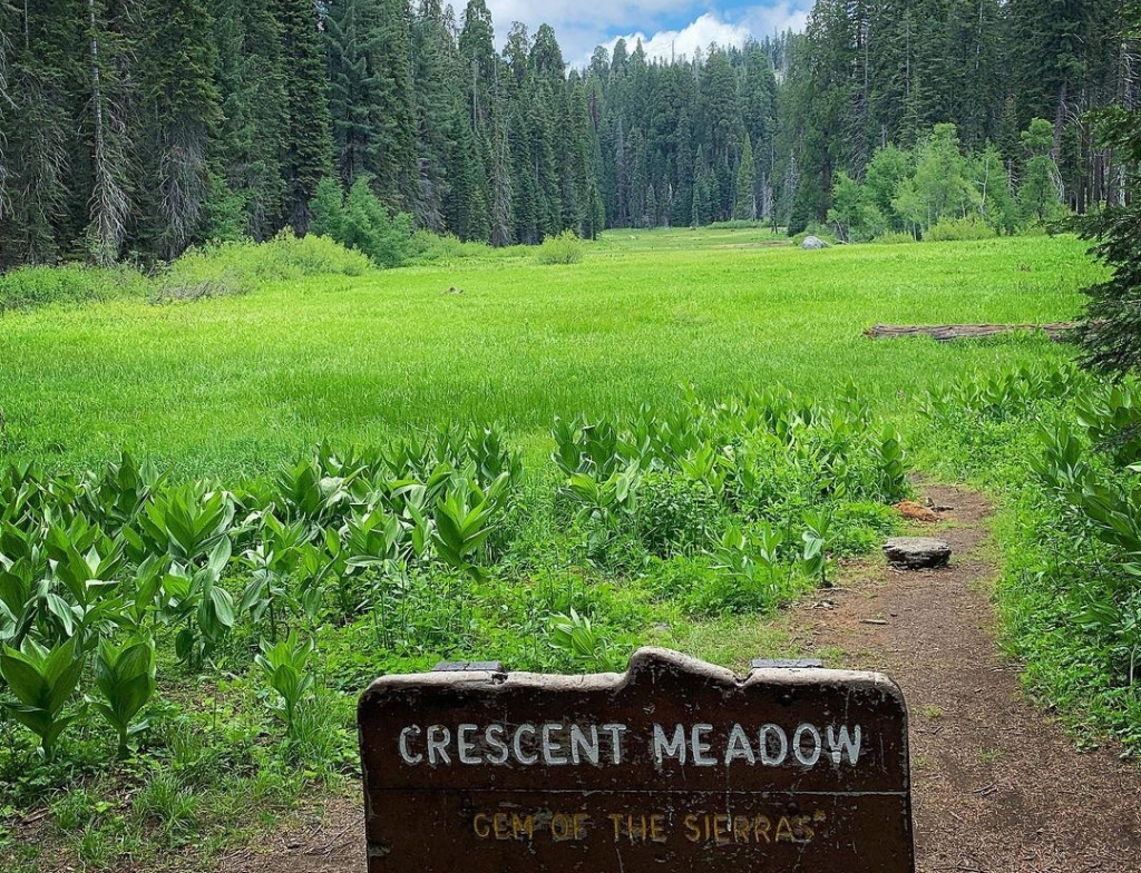 crescent meadow sequoia park