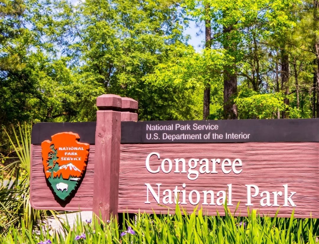 congaree south carolina