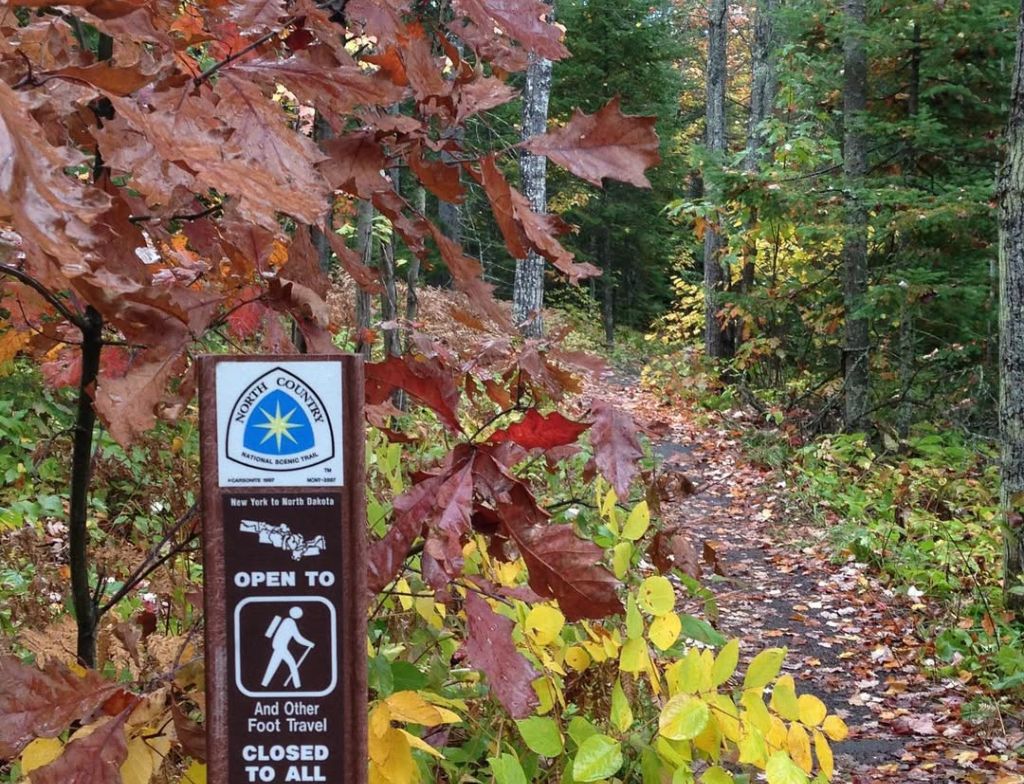 Pattison State Hiking