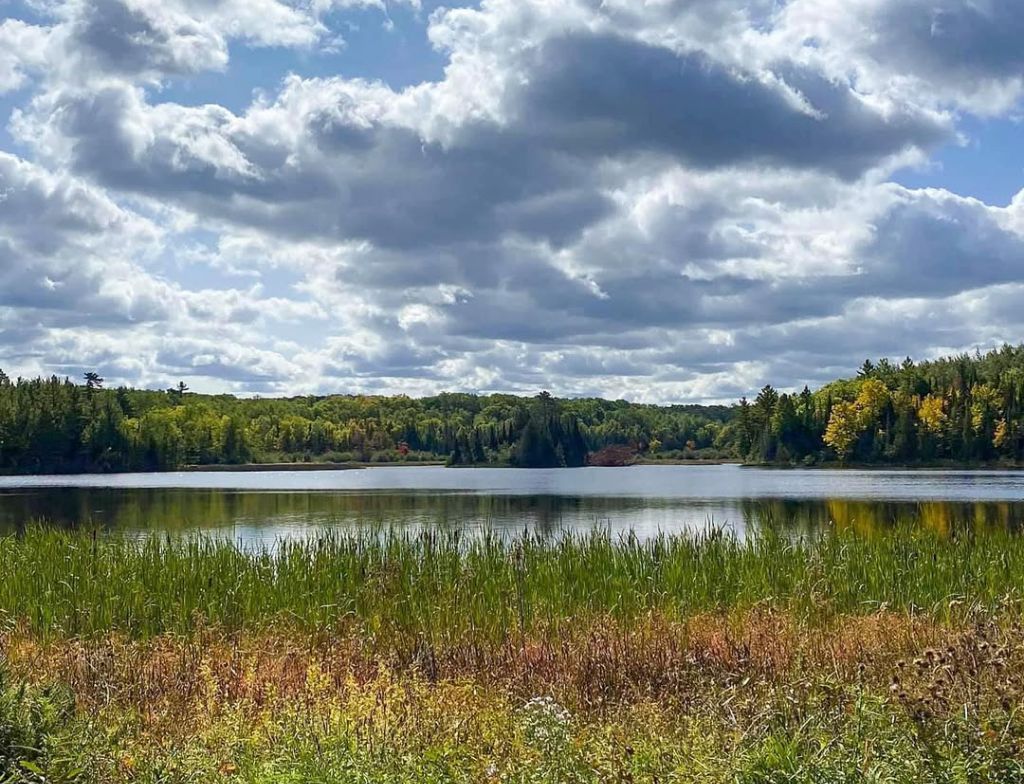 Pattison State Park Campground