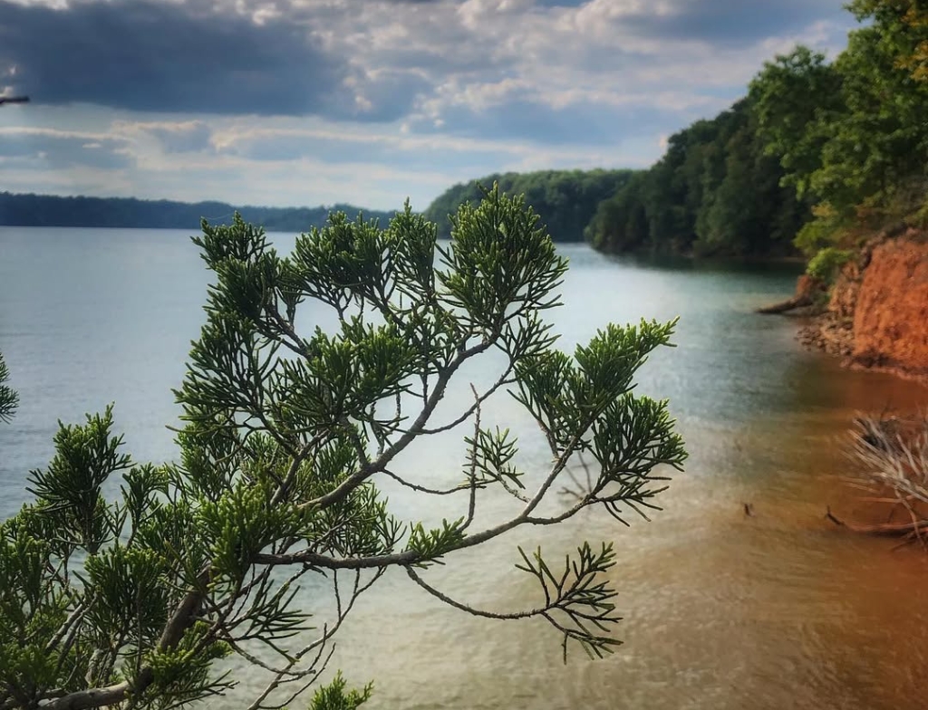 Tims Ford State lake