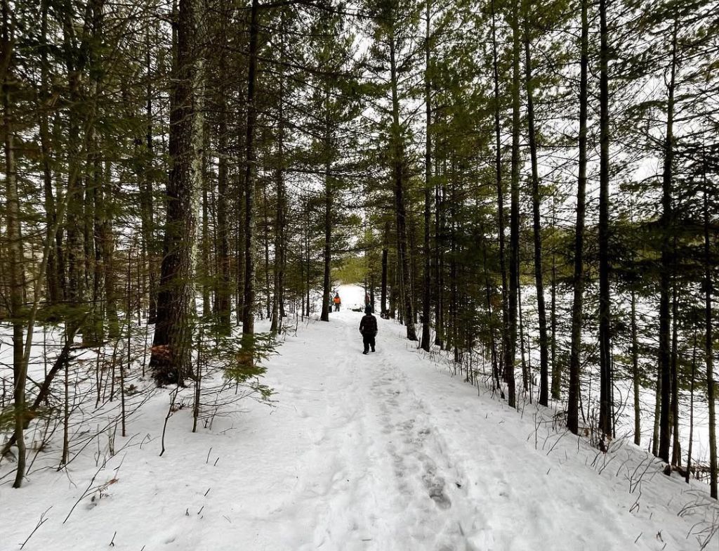 Pattison State Park Winter