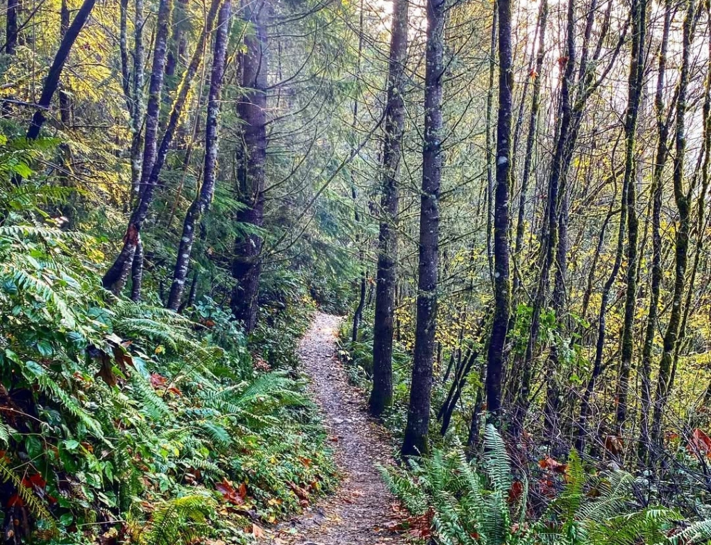 Oyster Dome hike