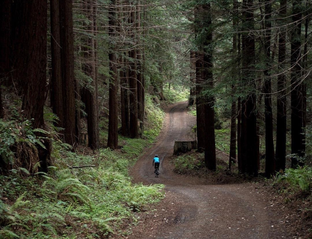 portola state park