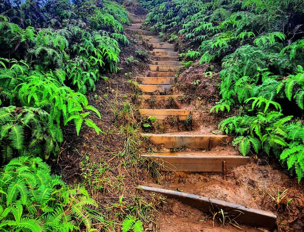 Wiliwilinui Ridge Trail closed