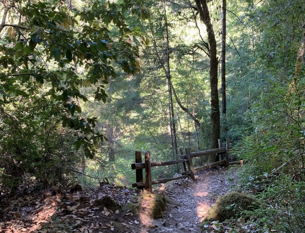 Portola Redwoods State Park