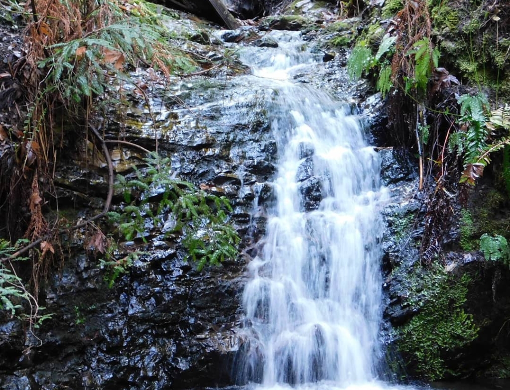 PortolaRedwoodsStatePark waterfall