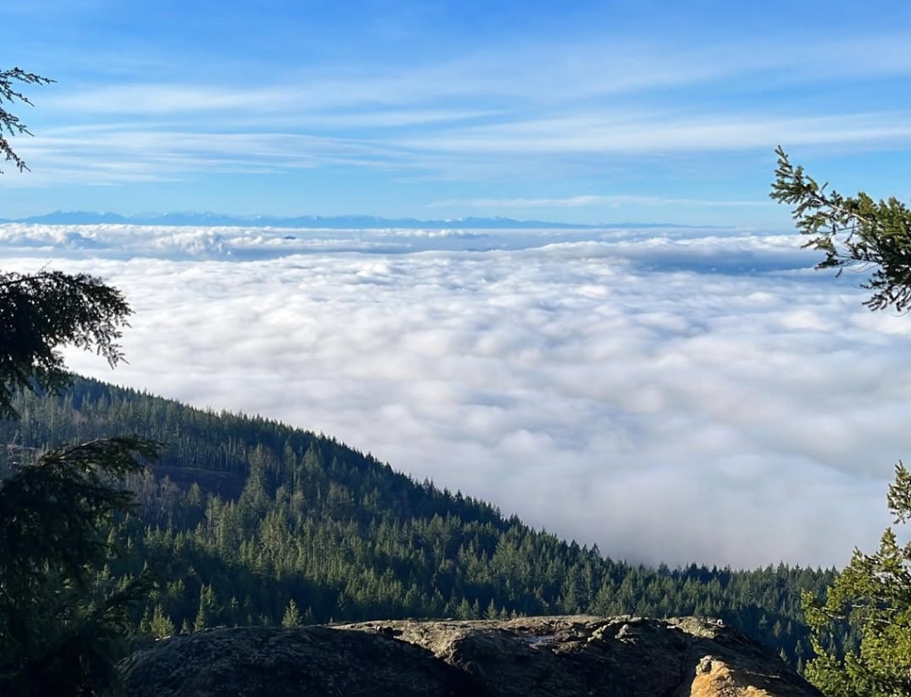 OysterDome difficulty hike