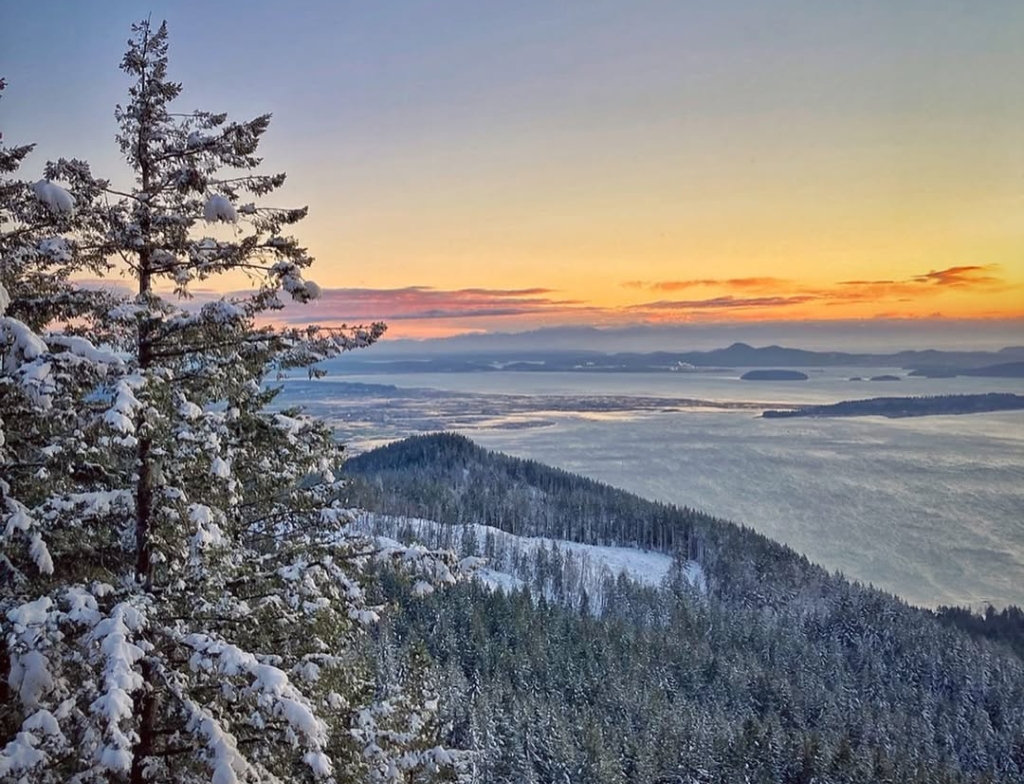 Oyster Dome