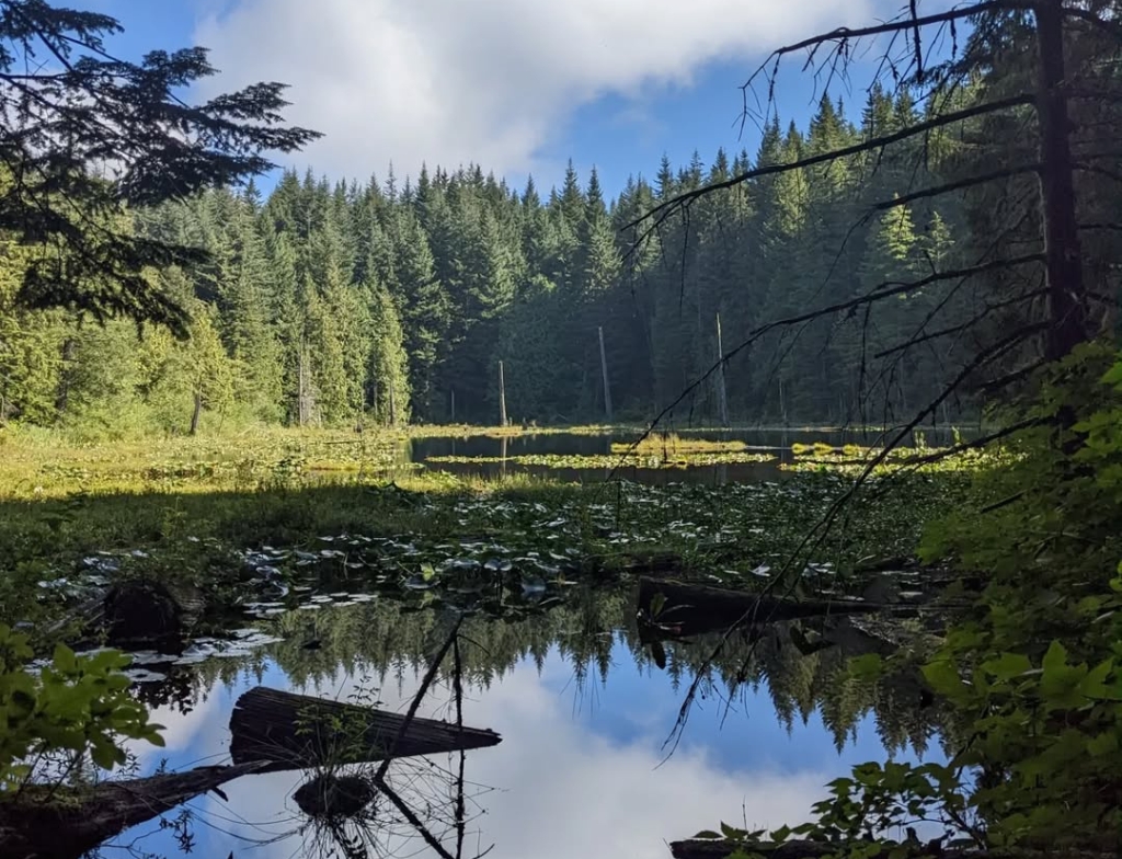 Oyster Dometrailhead