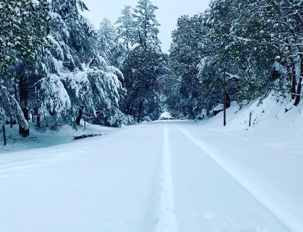 PortolaRedwoodsStatePark weather