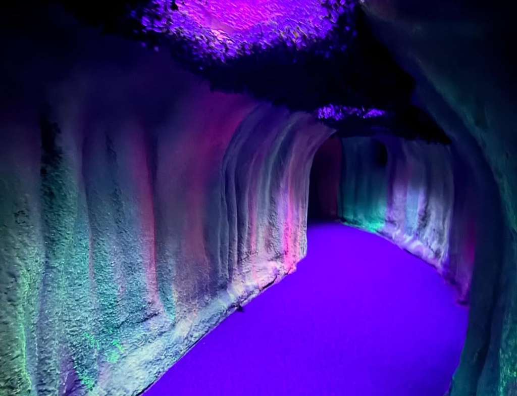 DreamwalkParkreviews
