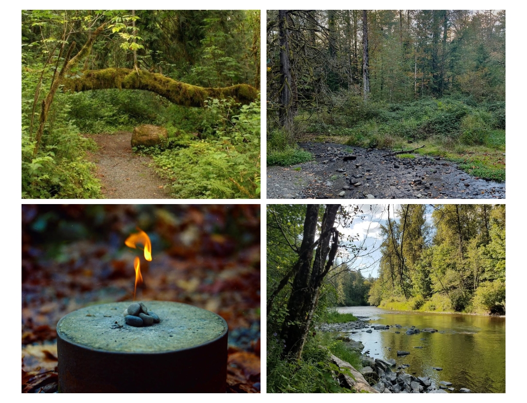 Flaming Geyser State Park photos