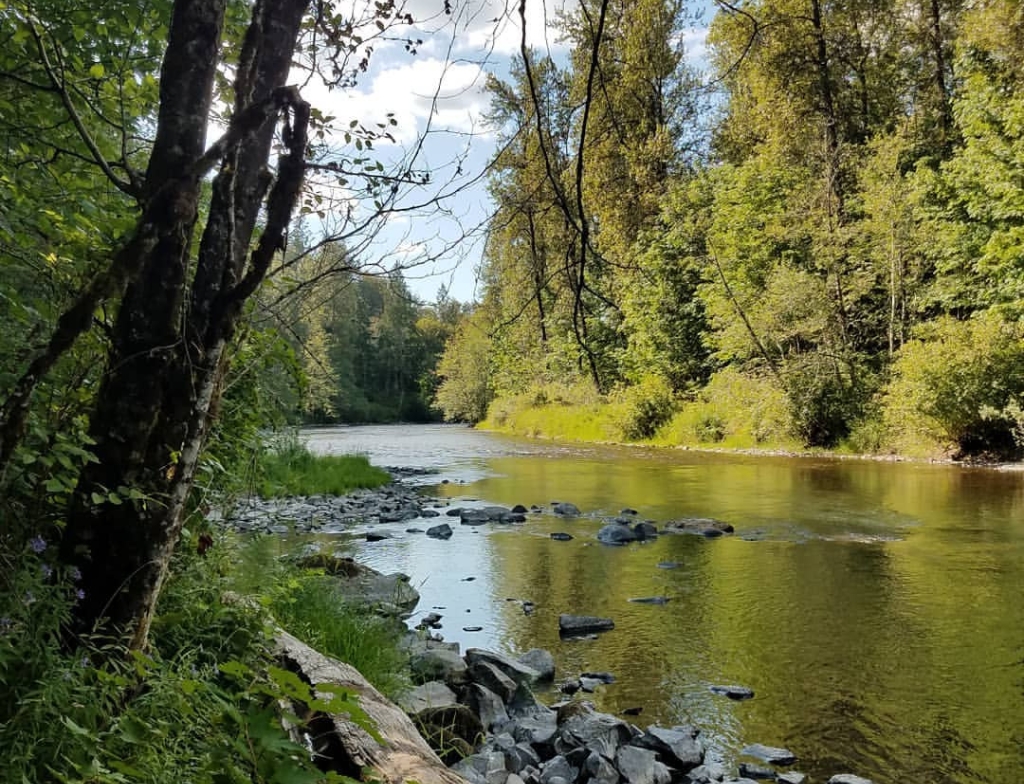 Flaming Geyser State Park fishing