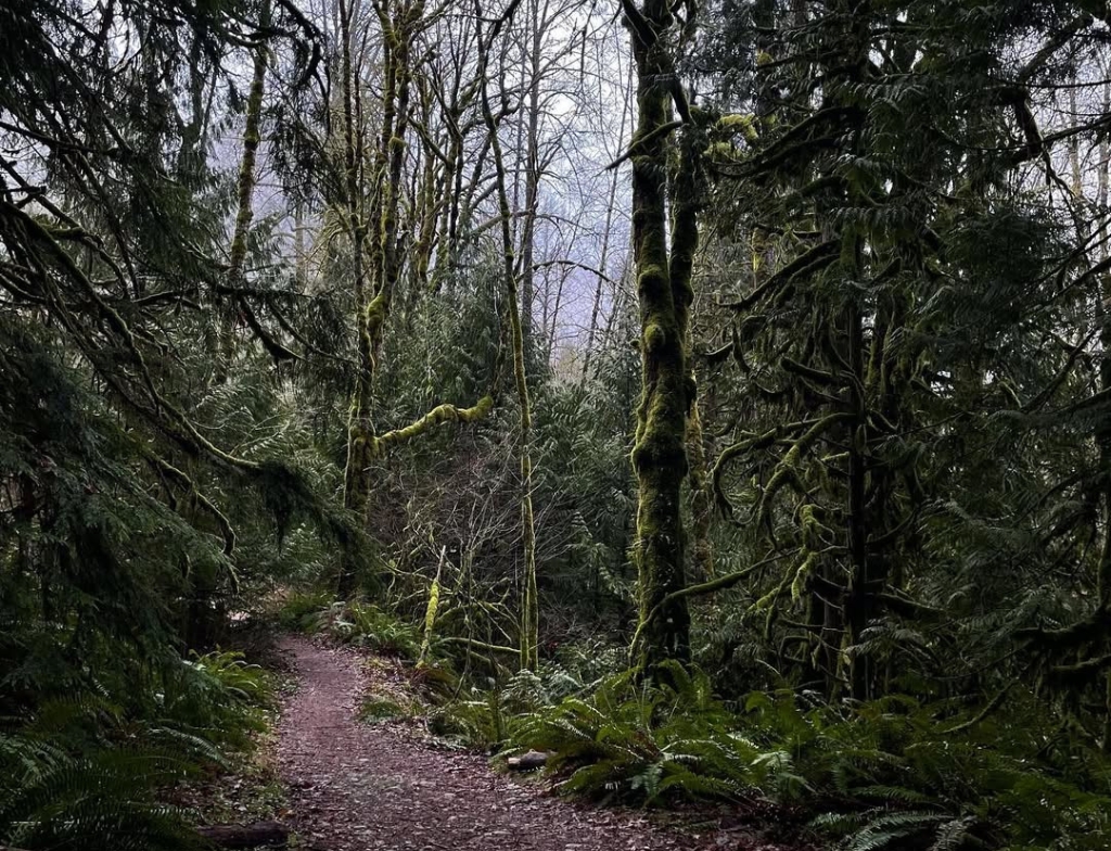 FlamingGeyserStateParktrails