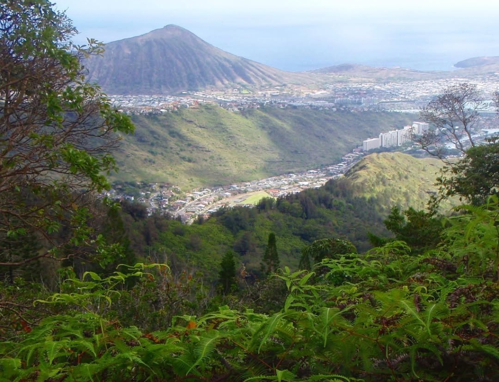 tantalus lookout - puu ualakaa state park attractions
