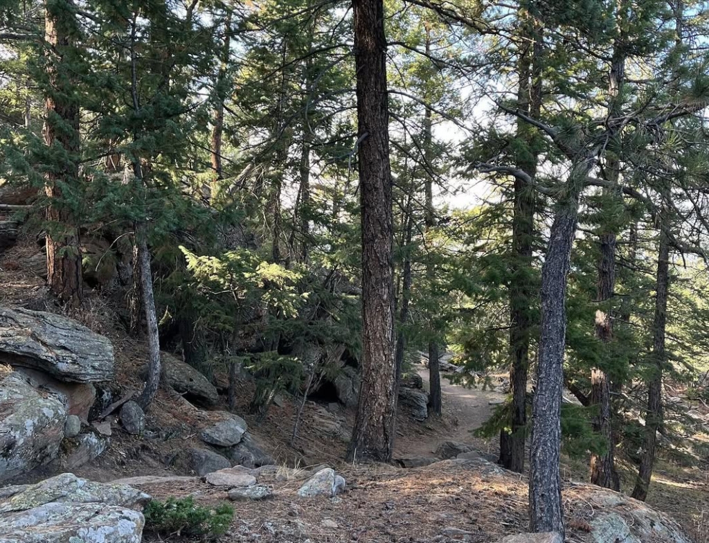 castle trail 
