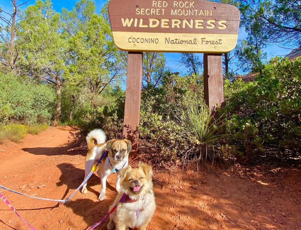 Boynton Canyon Trail pets