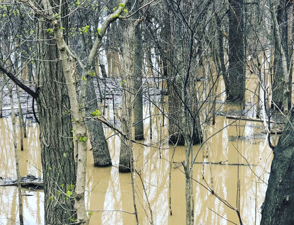 FallsofOhiostateParkwildlife