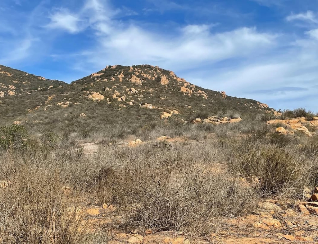 Cowles Mountain