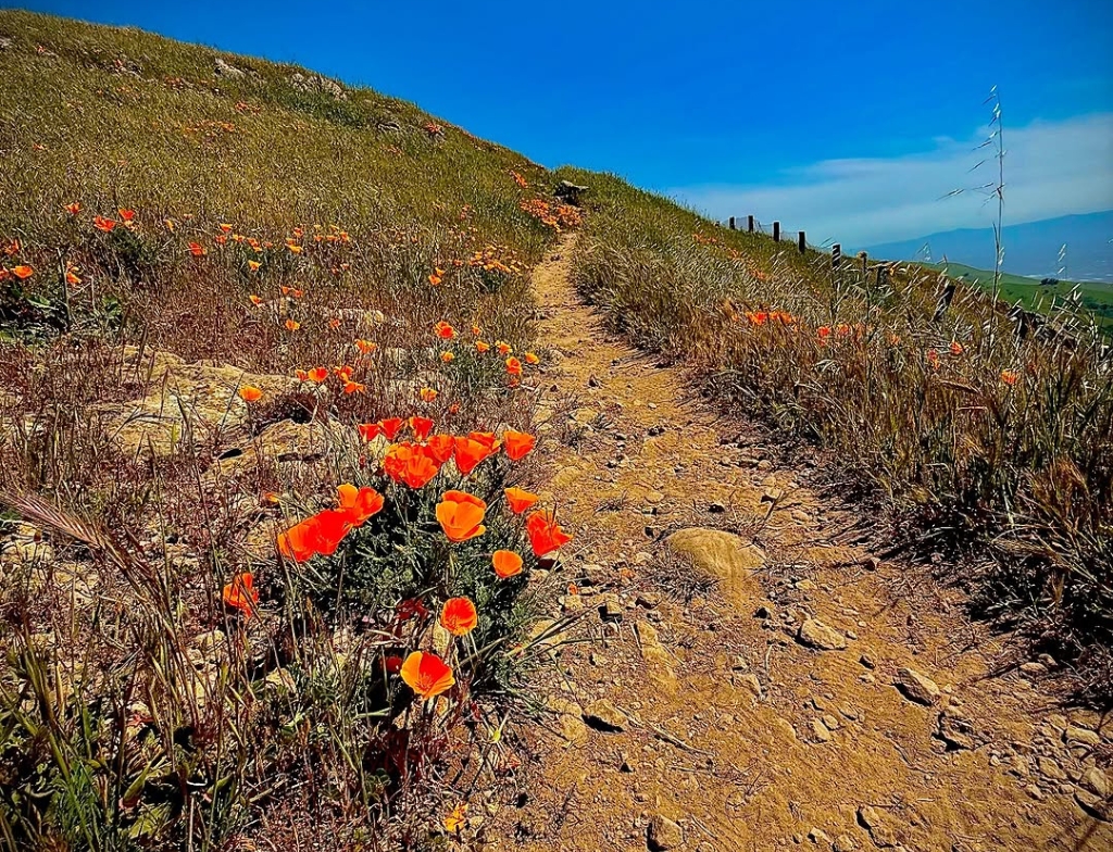 hidden valley california