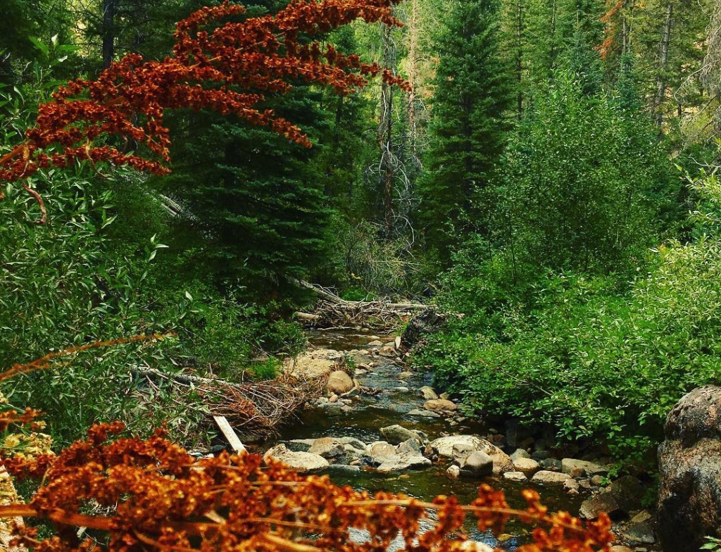 Strawberry Hot Springs camping