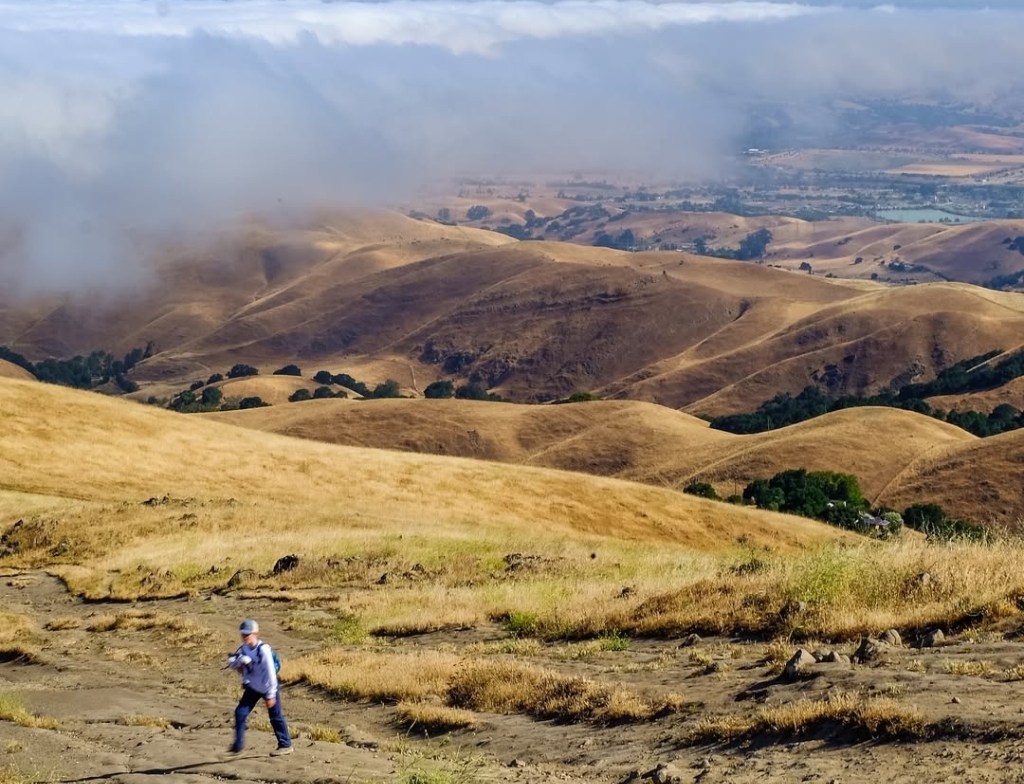 hiking trailmissionpeak