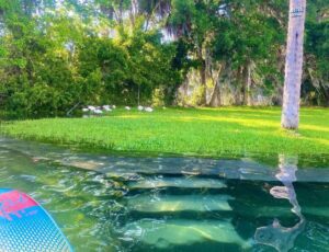 huntersprings