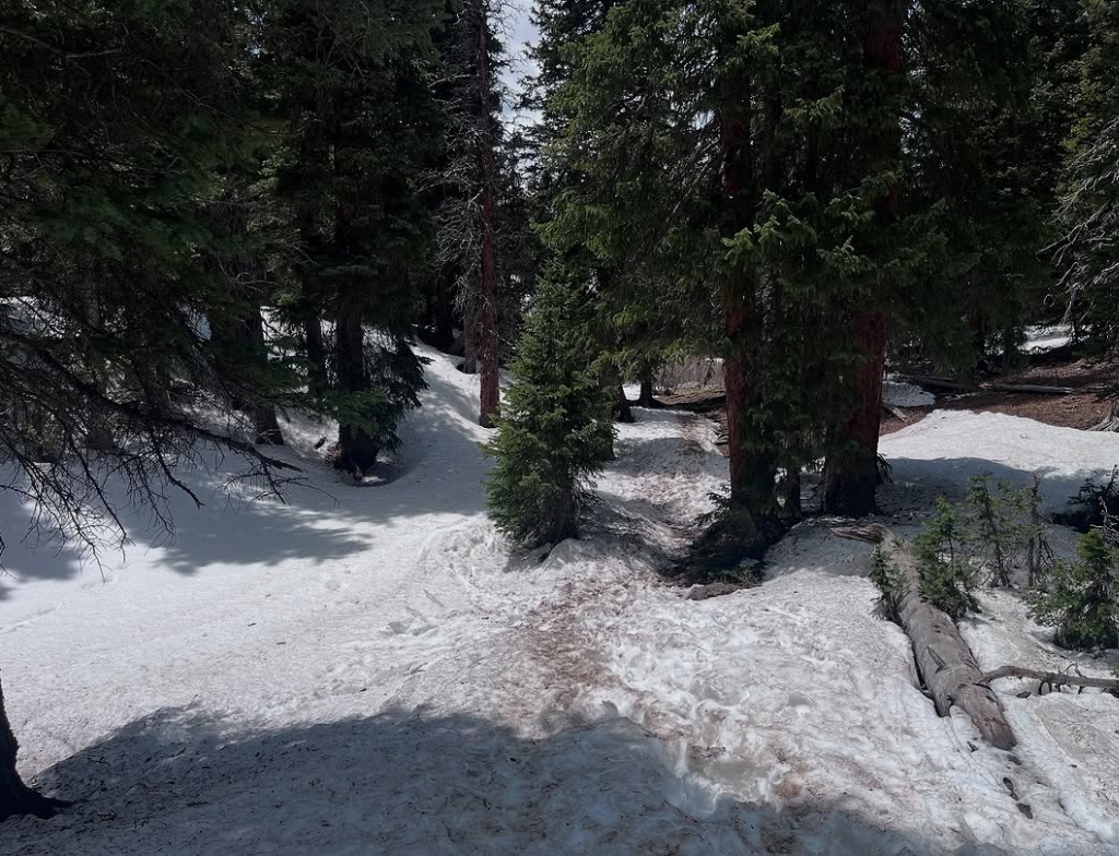 Silver Dollar Lake Trail weather