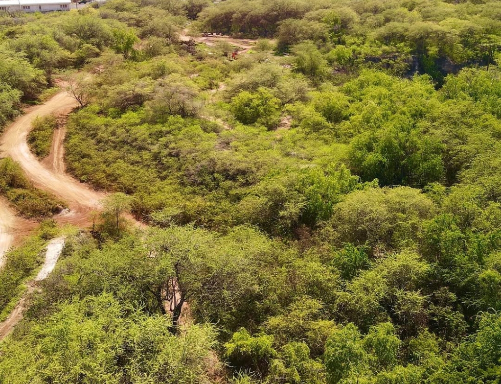 Coral Crater Adventure Park groupon