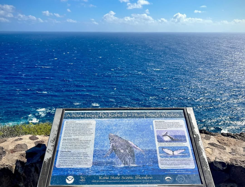 MakapuuLighthouseTrailwhale watching
