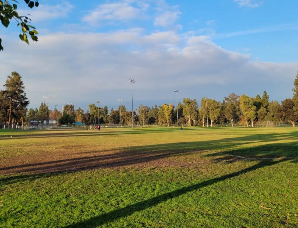 AlmansorParkbasket