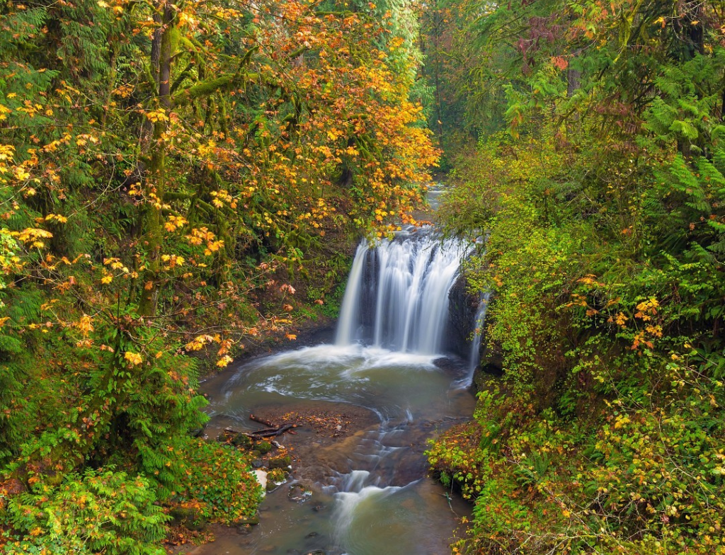 North Clackamas Aquatic Parknearby places to visit