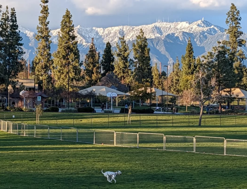AlmansorParkfields