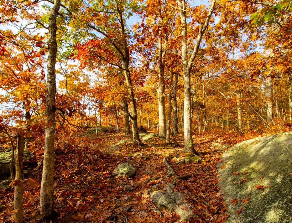 Rocky Neck State Park TRAIL