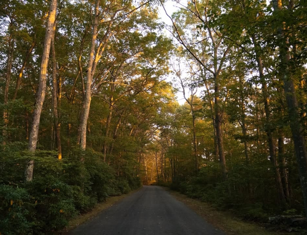 Rocky Neck State Park REVIEWS