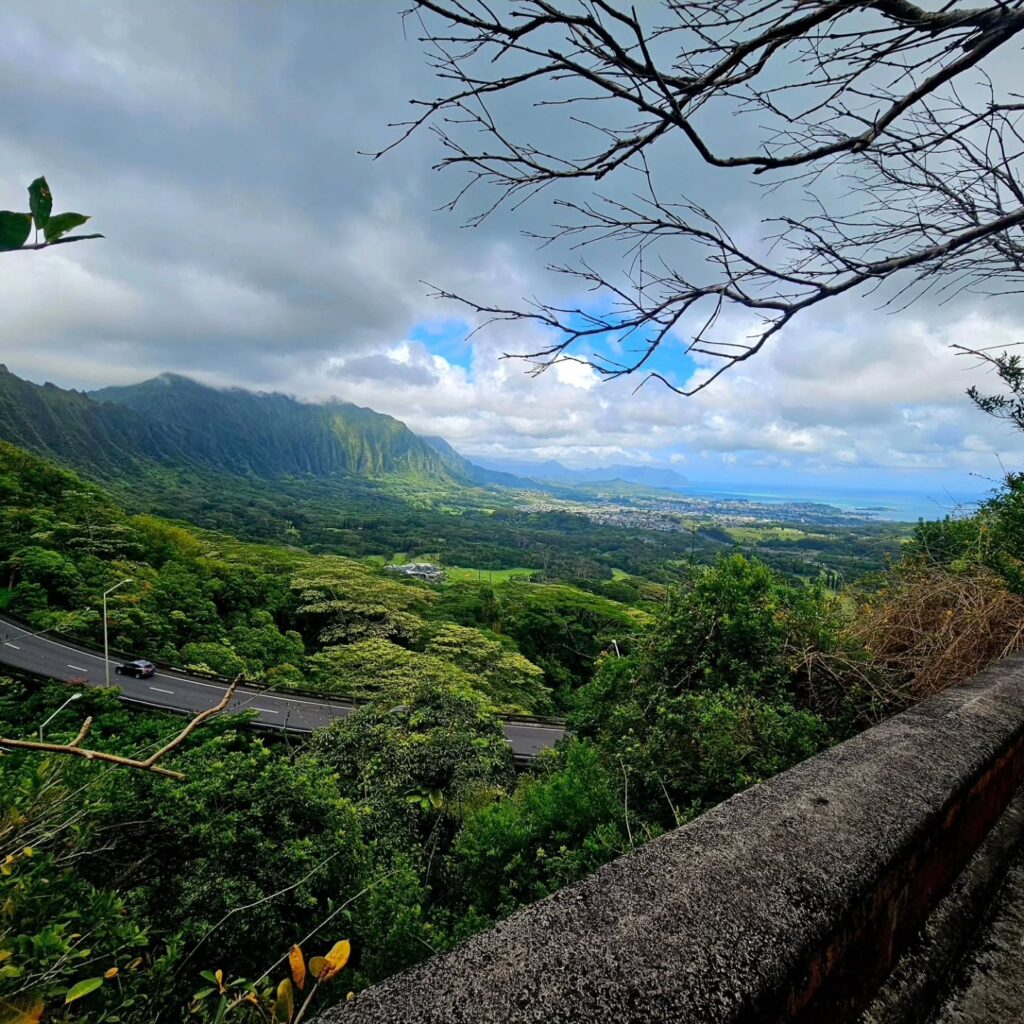 CrouchingLionhikewether