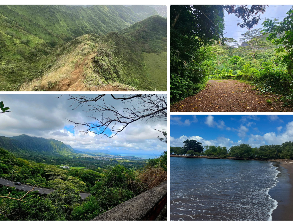 Crouching Lion hike photos