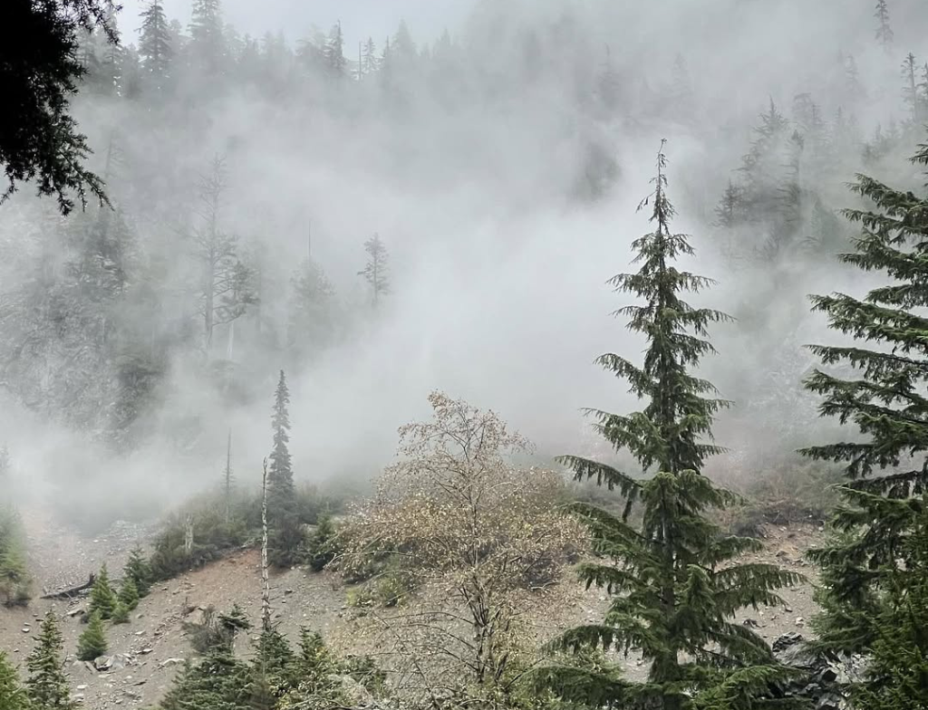 Franklin Falls hike reviews