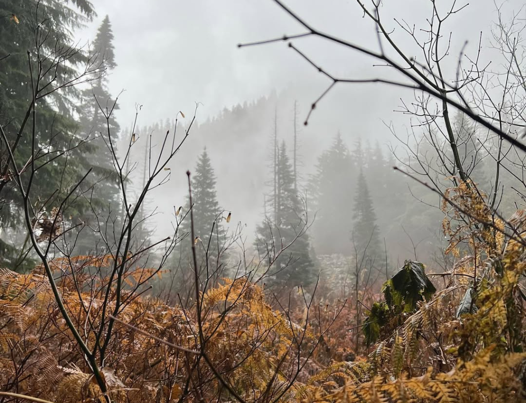 Franklin Falls hike weather