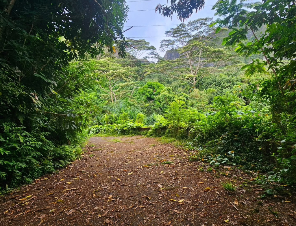CrouchingLionhikeentrance