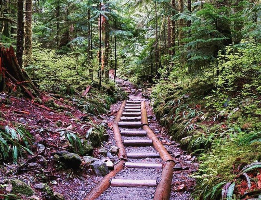 Lake 22 Hike Difficulty