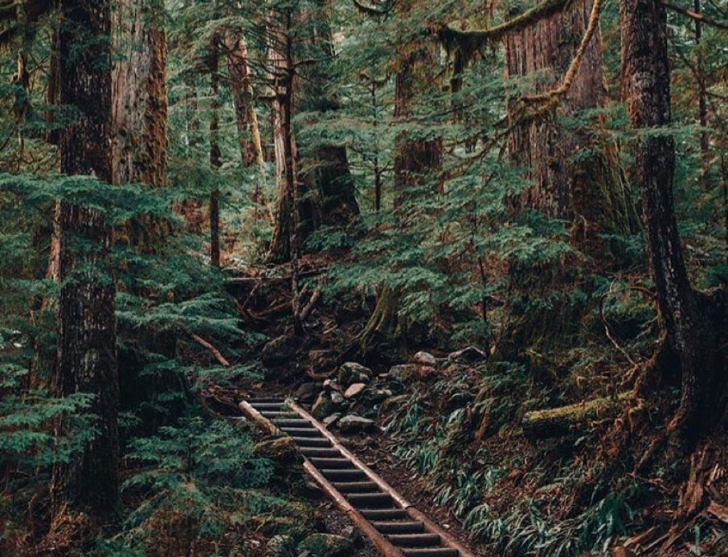 Lake 22 Hike Reviews