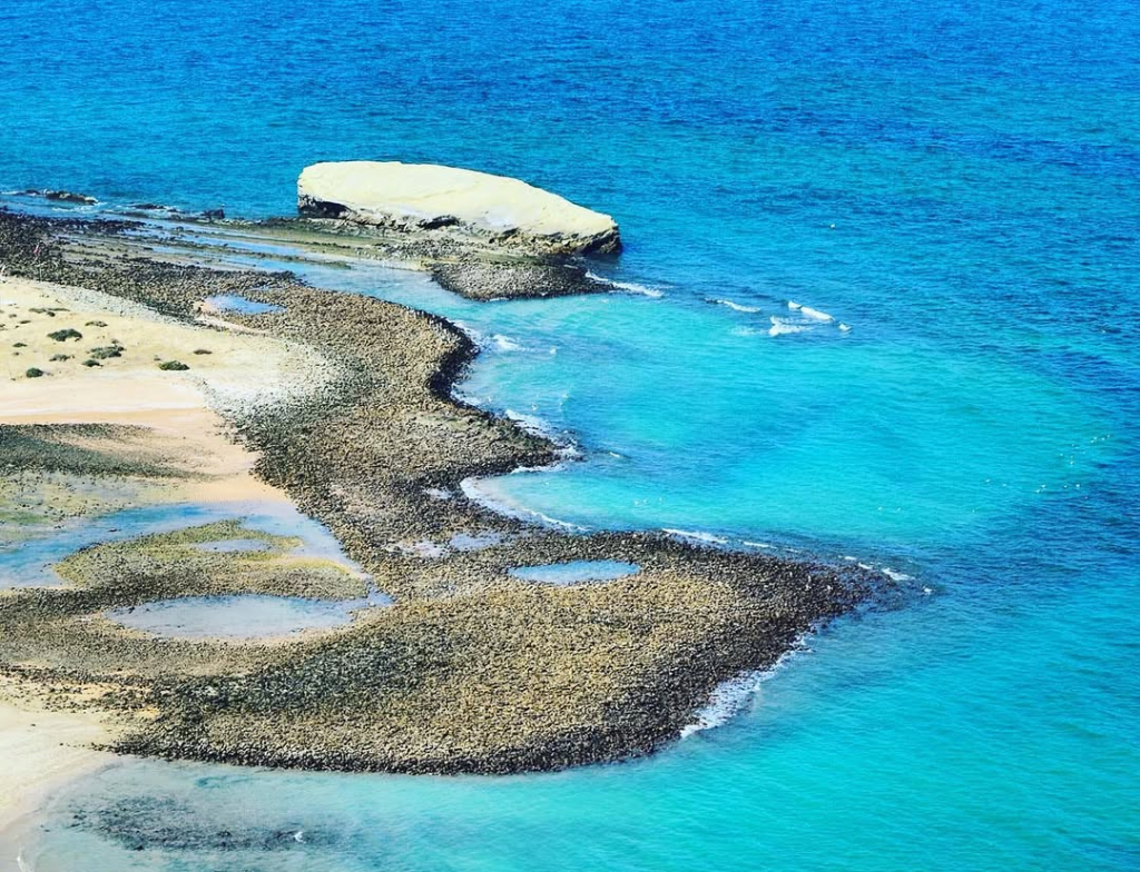 astola island wildlife