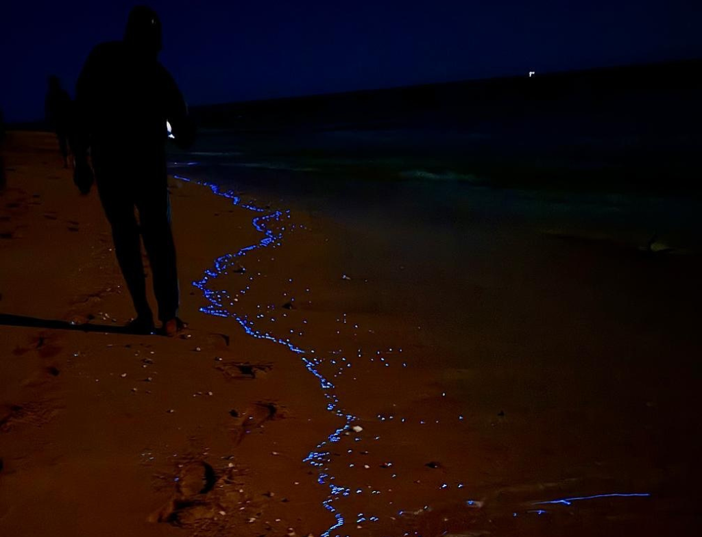 astola island at night