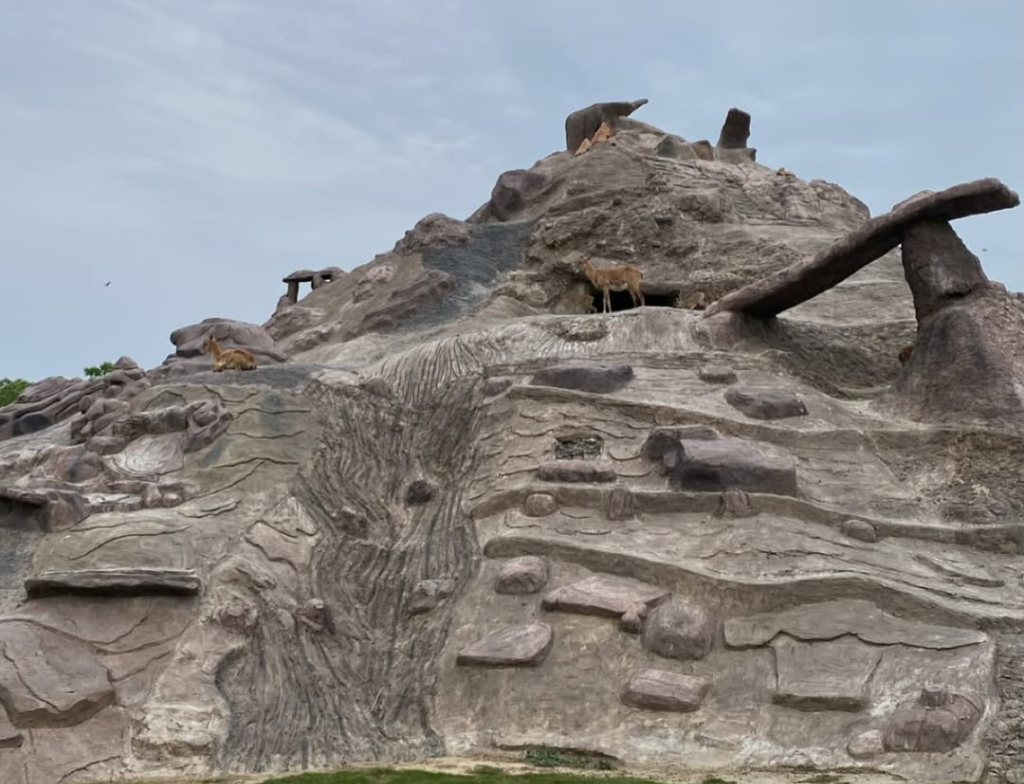 safari park playland