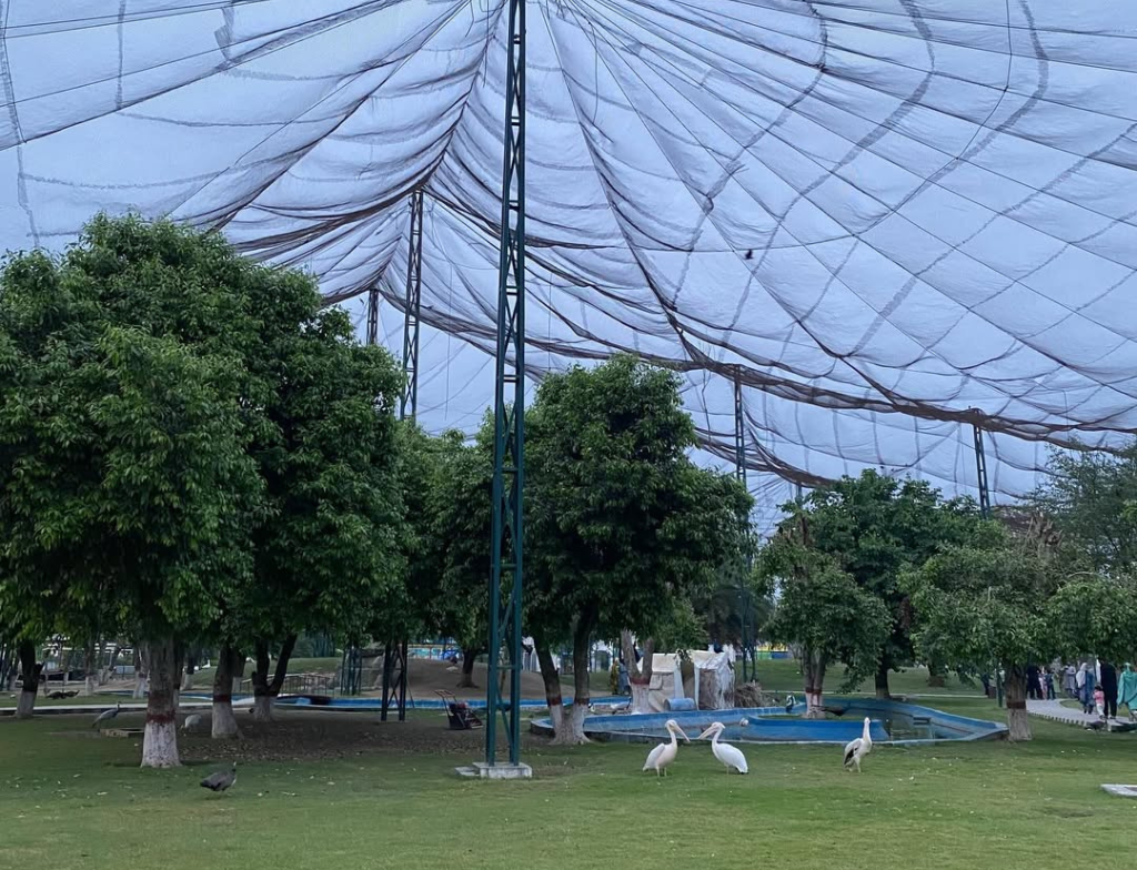 personal experience at safari park